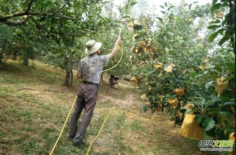 ������������г�Ҋ�Ć��}������̽ӑ