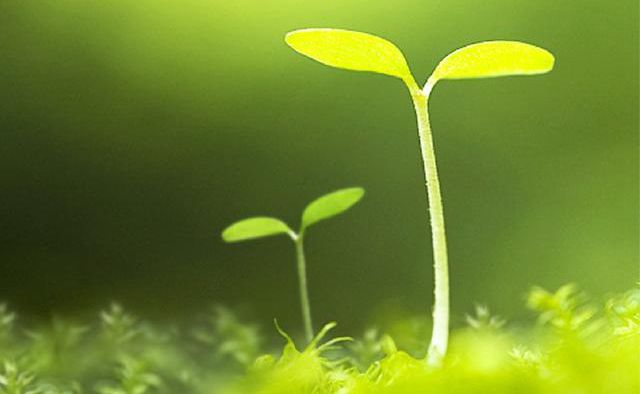 ���˲�ؓ(f��)������ؓ(f��)��