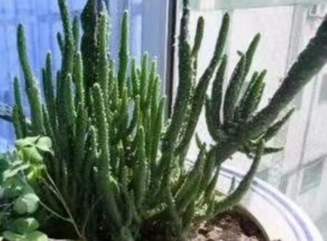 ٝ��  �����m