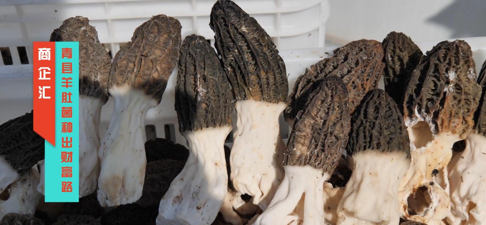 ����R���ӱ���h���ľ��Ǿ��N��ؔ��·