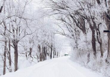 �����rζ�c������־����ҲՄ�ޘs�¡�ѩ���ƺ��