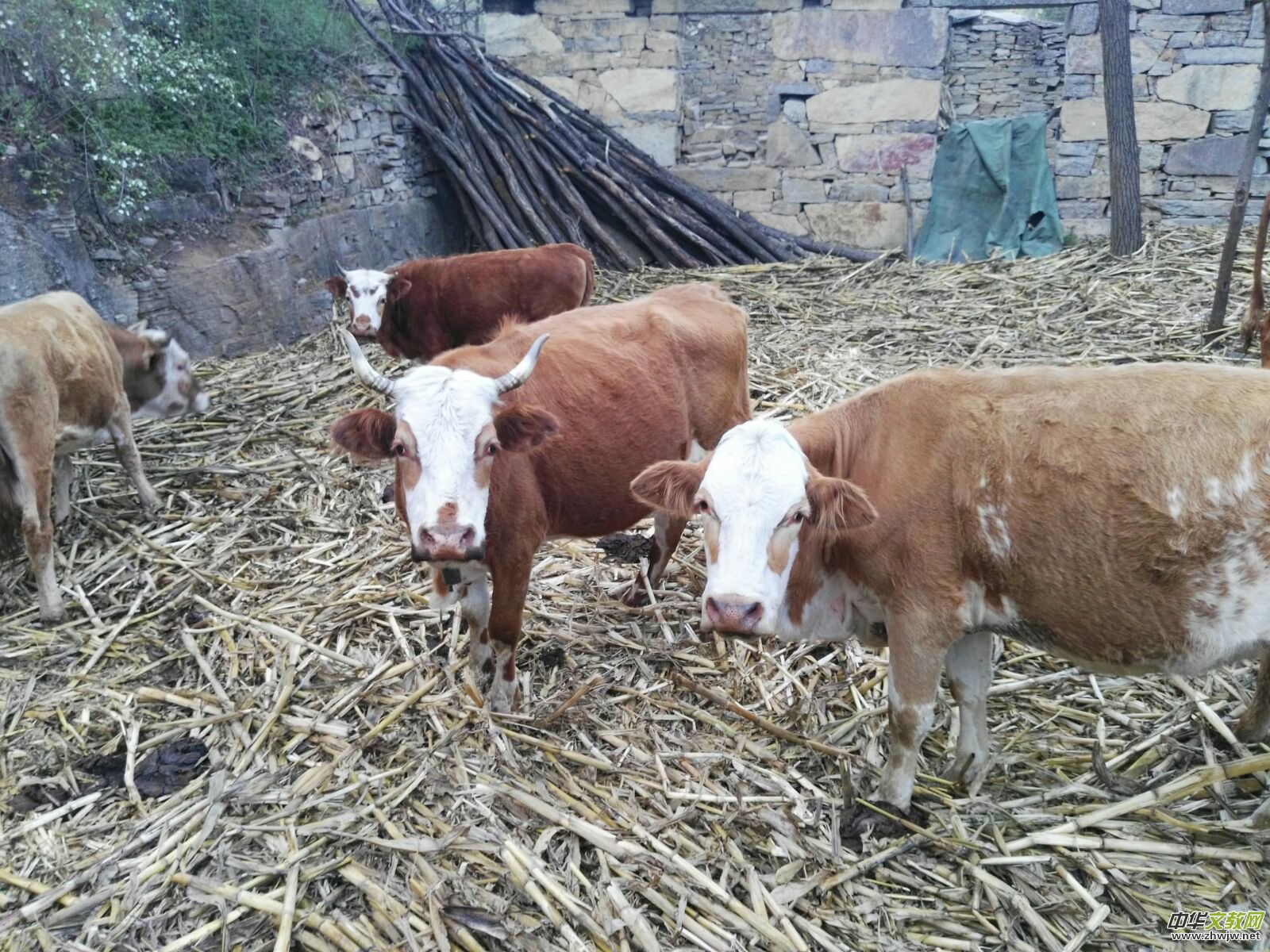 ĸ�H�����e���_�ҡ�����܊�ܘ�ό�����־