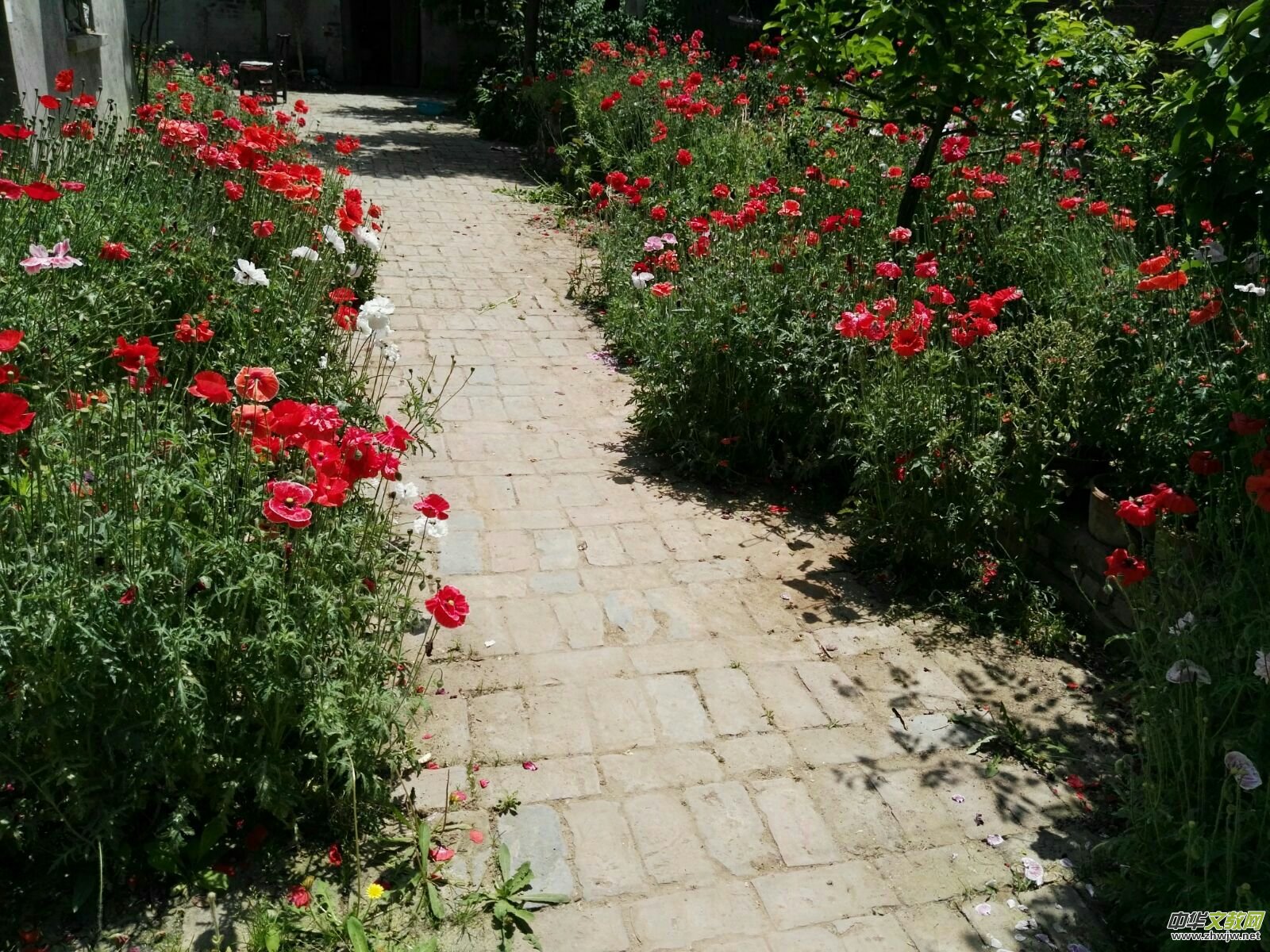 ĸ�H�����e���_�ҡ�����܊�ܘ�ό�����־