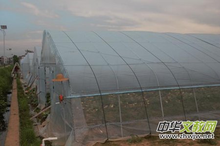 ���ʷ�ؚ��ĸ�H����