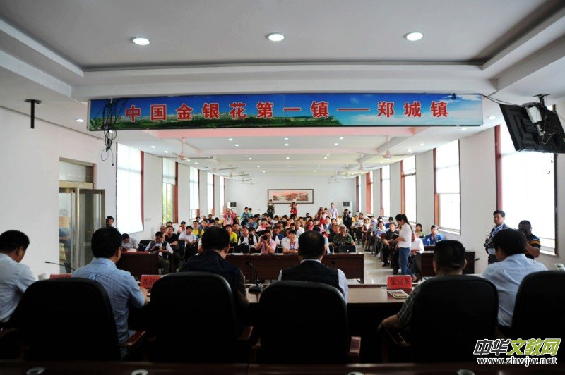 ���ɻ��� ƽ�ؽ���-�����zӰ�����M(j��n)ɽ�|ƽ��