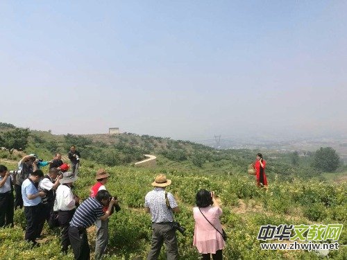 ���y���_���������zӰ��Ʒ