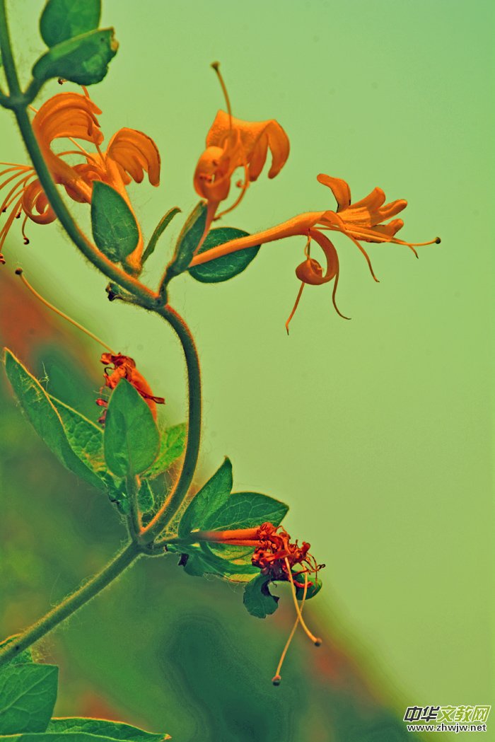 ���y���_���������zӰ��Ʒ