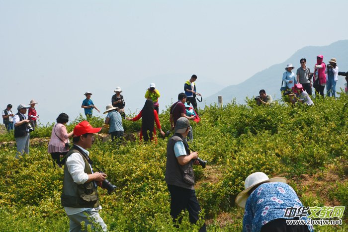 ���y���_���������zӰ��Ʒ