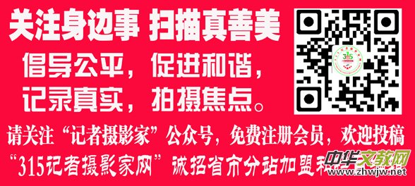 315���M�\��(li��n)�ˡ��Ї�Ԋ���zӰ�߿��B(y��ng)���İl(f��)չ(li��n)�x��Մ�����_