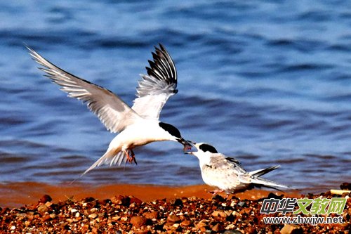 15ӛ�ߔzӰ�ҾW(w��ng)����ȫ��(gu��)�ДzӰ��(hu��)�T