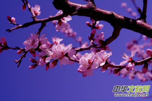 15ӛ�ߔzӰ�ҾW(w��ng)����ȫ��(gu��)�ДzӰ��(hu��)�T