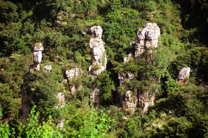 Ԋ����ç�X�L(f��ng)��zӰ��������(gu��)��Ʒ