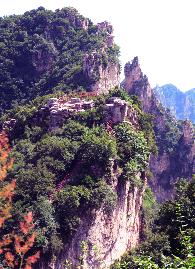 Ԋ����ç�X�L(f��ng)��zӰ��������(gu��)��Ʒ