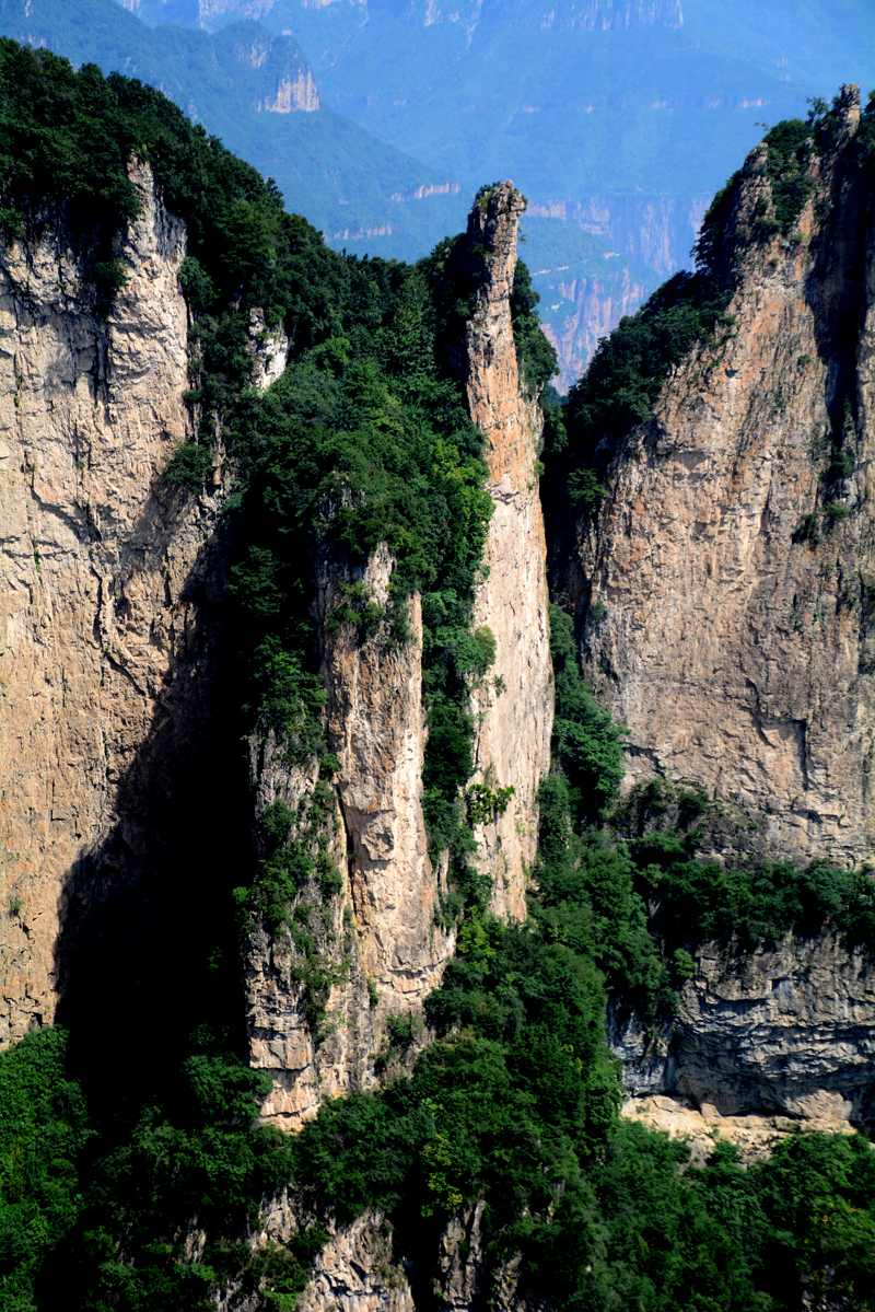 Ԋ����ç�X�L(f��ng)��zӰ��������(gu��)��Ʒ