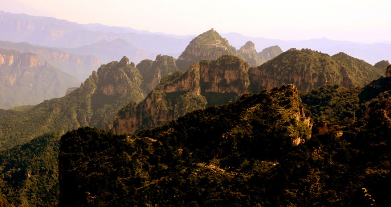 Ԋ����ç�X�L(f��ng)��zӰ��������(gu��)��Ʒ