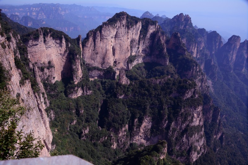 Ԋ����ç�X�L(f��ng)��zӰ��������(gu��)��Ʒ