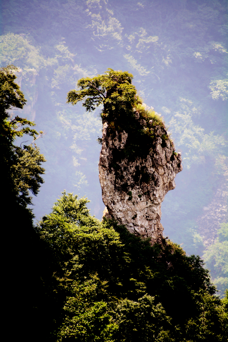 Ԋ����ç�X�L(f��ng)��zӰ��������(gu��)��Ʒ