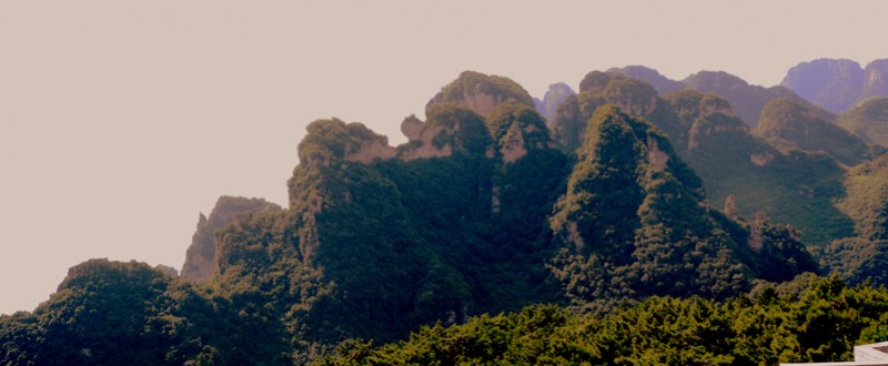 Ԋ����ç�X�L(f��ng)��zӰ��������(gu��)��Ʒ