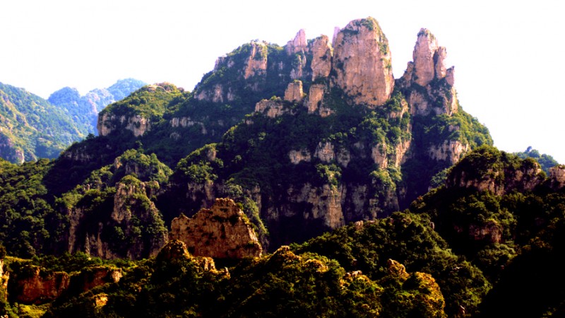 Ԋ����ç�X�L(f��ng)��zӰ��������(gu��)��Ʒ