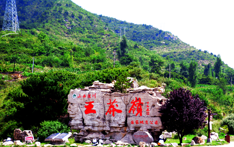 Ԋ����ç�X�L(f��ng)��zӰ��������(gu��)��Ʒ