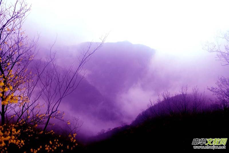 �gӭ���(b��o)�����Ї�(gu��)Ԋ(sh��)���zӰ���ء���(hu��)�T��λ������λ��