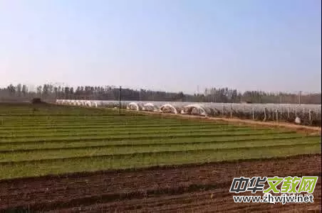 ���f�F�ǅ^(q��)ȫ�^(q��)���ɵ�һ��ӛ���h�M��ؓ(f��)؟(z��)�˼��w��(j��ng)��(j��)��Ӗ(x��n)���ڷʳ��e��