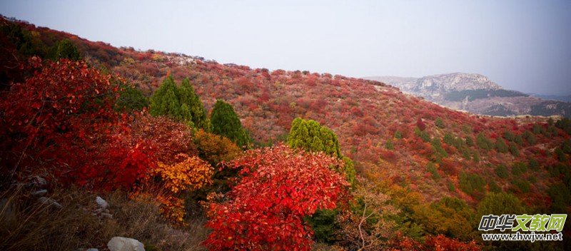 ����������ɽ���zӰ��ِ�_ʼ�ˡ���