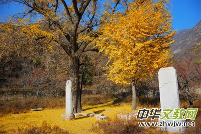 ����������ɽ���zӰ��ِ�_ʼ�ˡ���