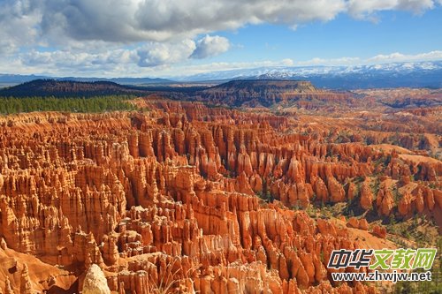 ���α؂�����˲�g��������(j��ng)�侀·�����w����{������