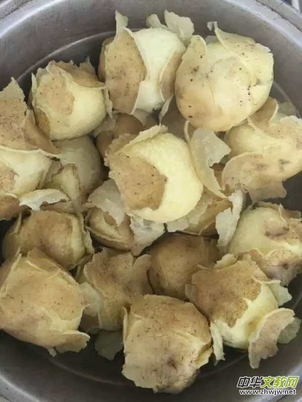 ɽ������������