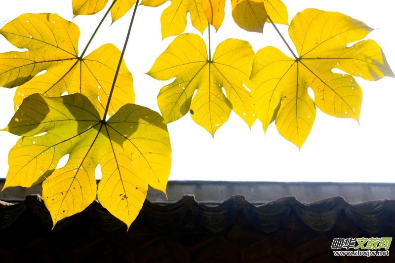 һ���~���S