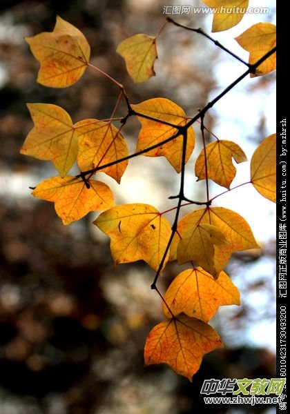 һ���~���S