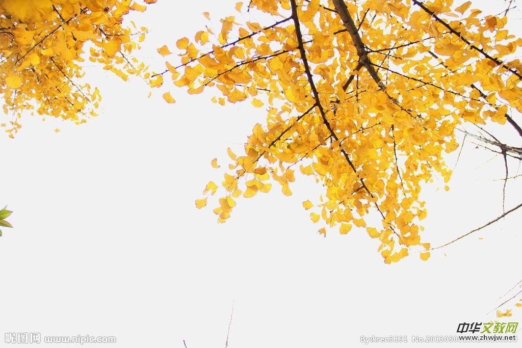 һ���~���S