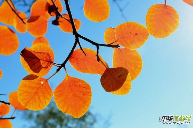 һ���~���S