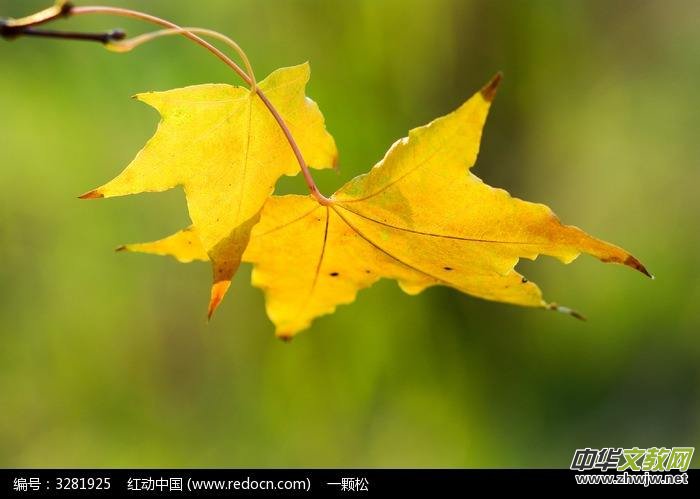 һ���~���S