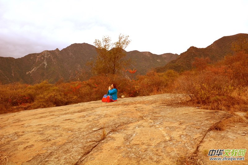 ��������ɽ�zӰ���桪�������zӰ��Ʒ