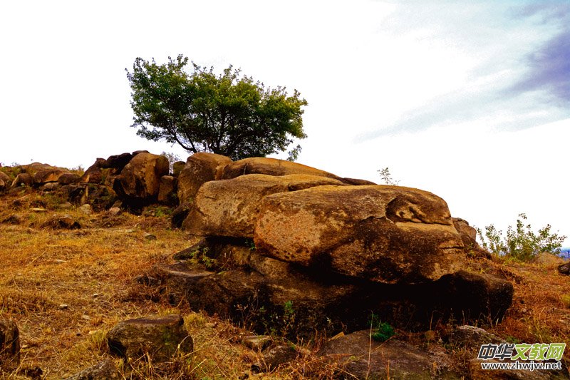 ��������ɽ�zӰ���桪�������zӰ��Ʒ