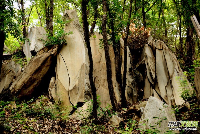 ��������ɽ�zӰ���桪�������zӰ��Ʒ