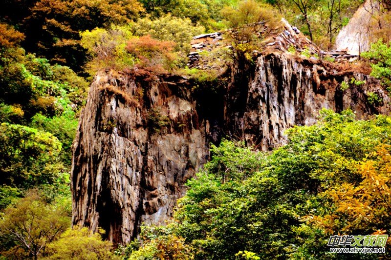 ��������ɽ�zӰ���桪�������zӰ��Ʒ