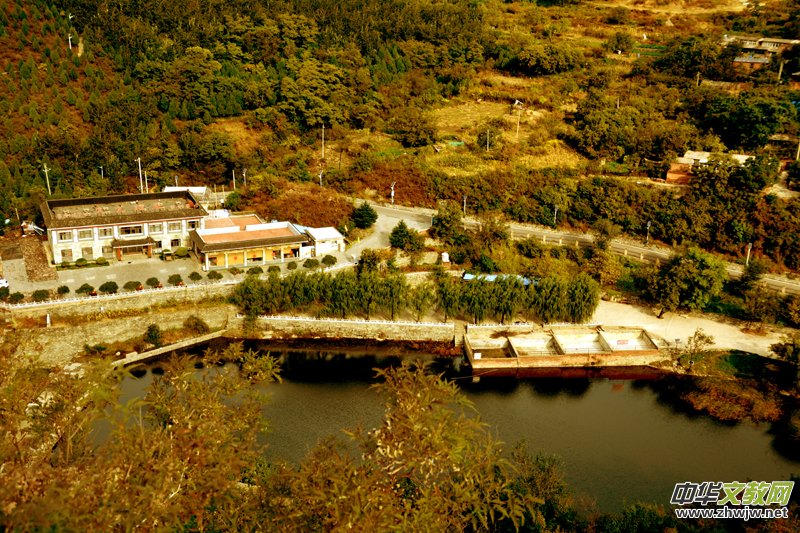 ��������ɽ�zӰ���桪�������zӰ��Ʒ