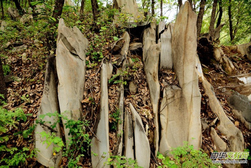 ��������ɽ�zӰ���桪�������zӰ��Ʒ