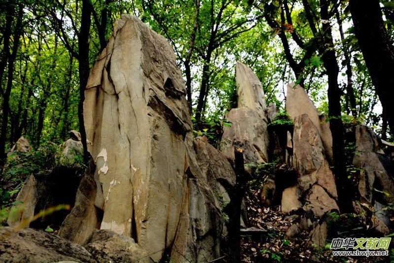 ��������ɽ�zӰ���桪�������zӰ��Ʒ