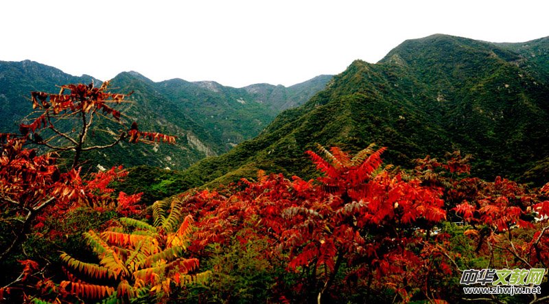 ��������ɽ�zӰ���桪�������zӰ��Ʒ