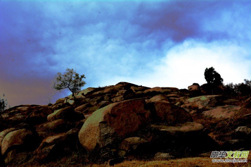 ��������ɽ�zӰ���桪�������zӰ��Ʒ