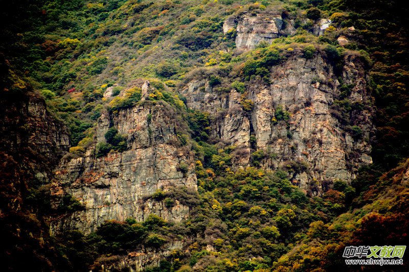 ��������ɽ�zӰ���桪�������zӰ��Ʒ