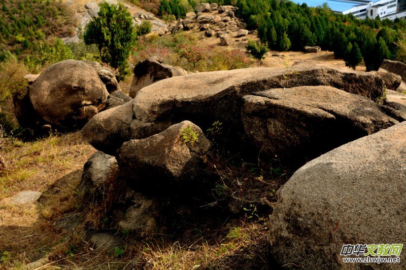 ��������ɽ�zӰ���桪�������zӰ��Ʒ