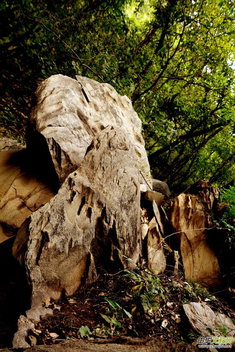 ��������ɽ�zӰ���桪�������zӰ��Ʒ