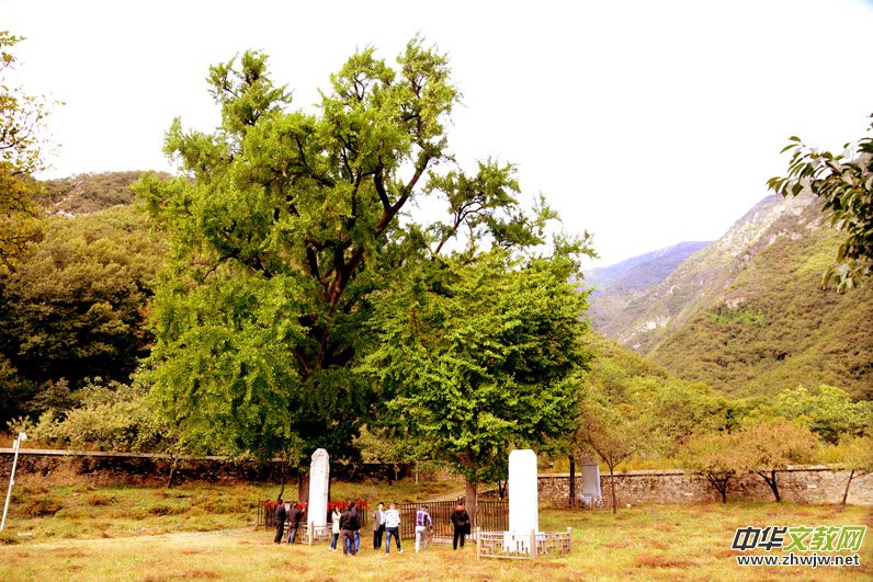 ��������ɽ�zӰ���桪�������zӰ��Ʒ