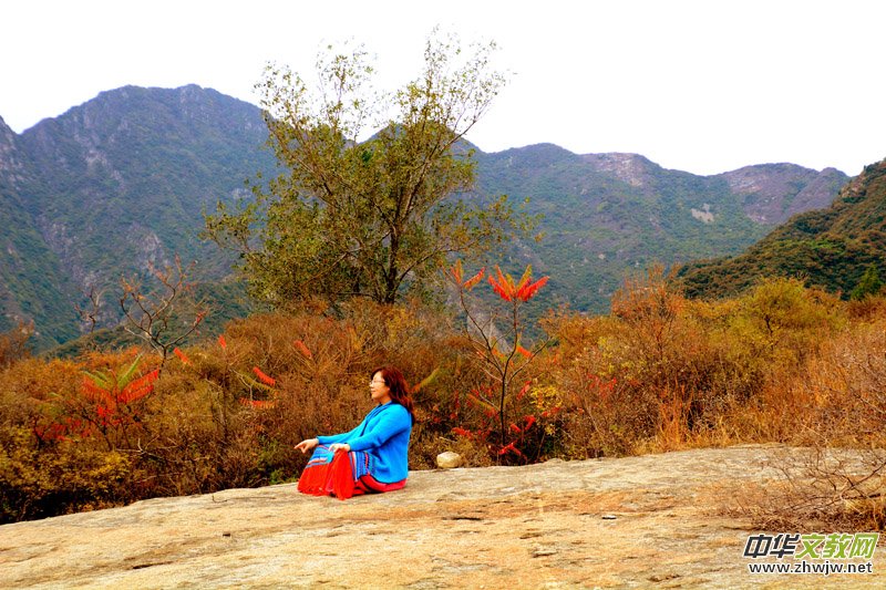 ��������ɽ�zӰ���桪�������zӰ��Ʒ