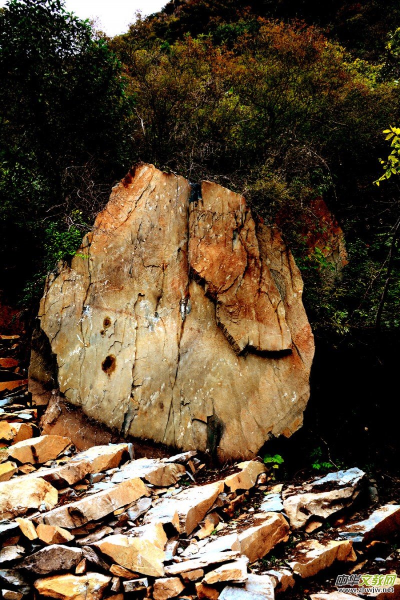 ��������ɽ�zӰ���桪�������zӰ��Ʒ